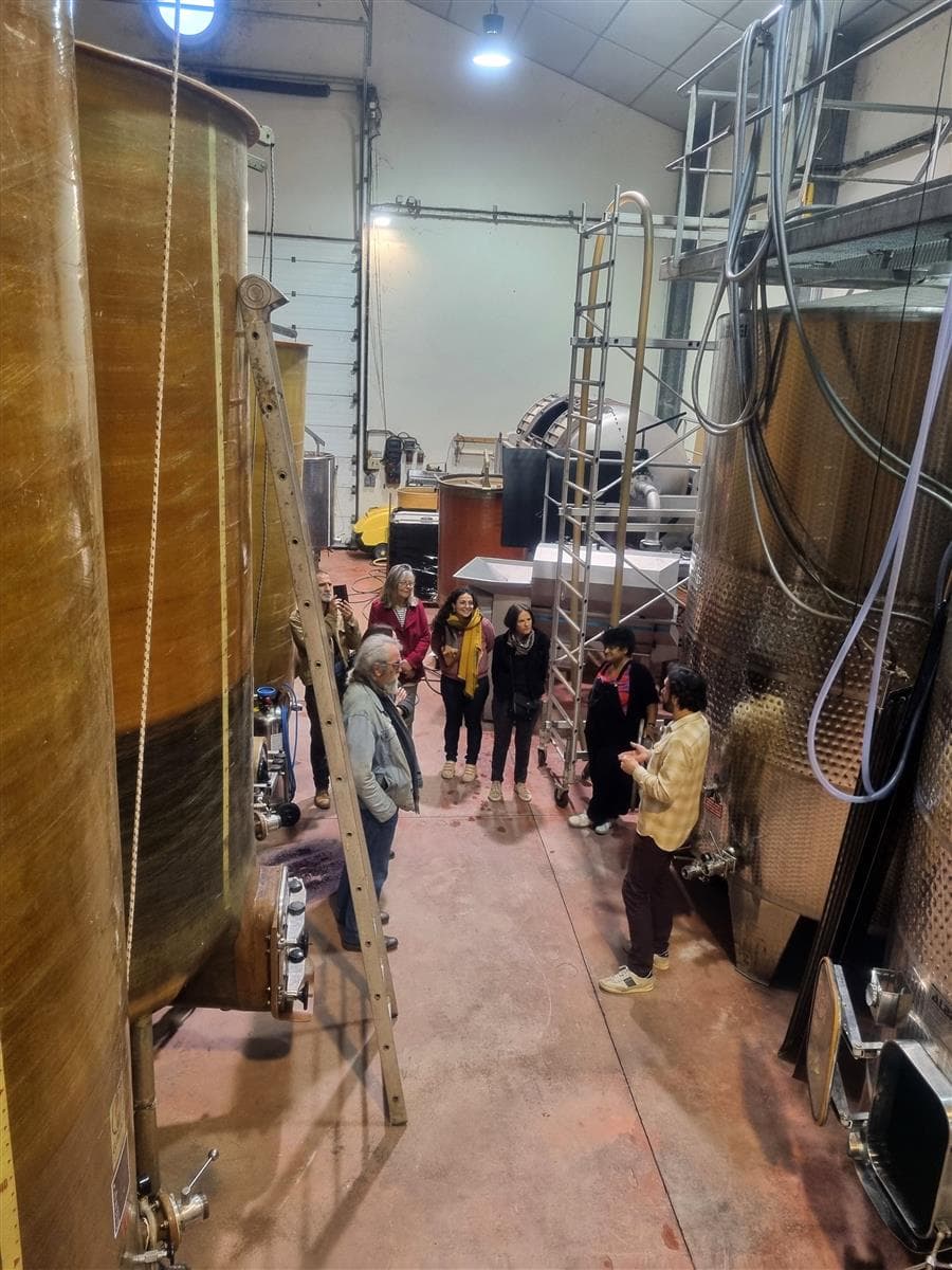 Domaine Massillan