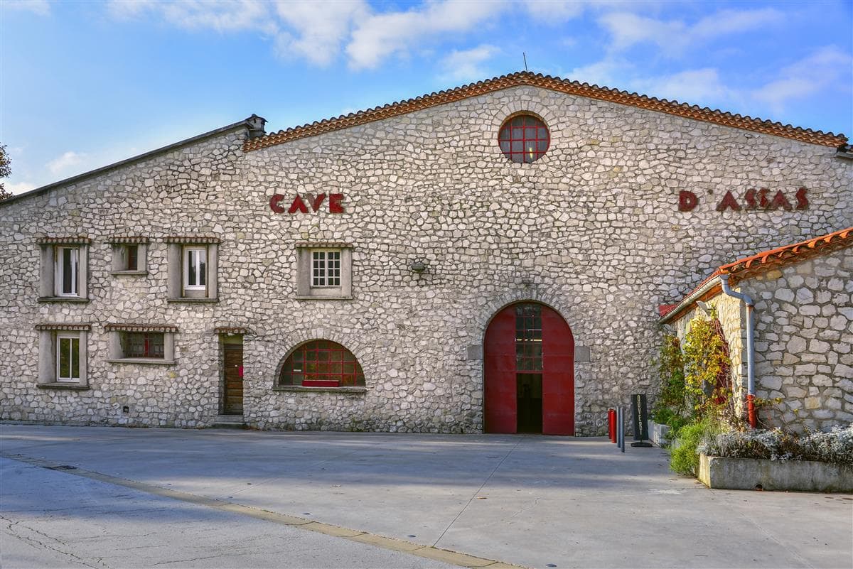 Cave d'Assas 1 - Le Cellier du Pic