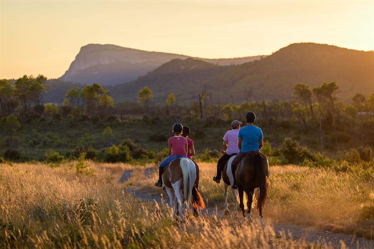 horse aventure horse and sunset