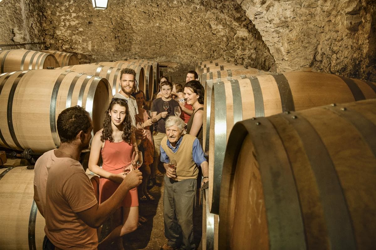 Tractotour - Domaine de Brunet
