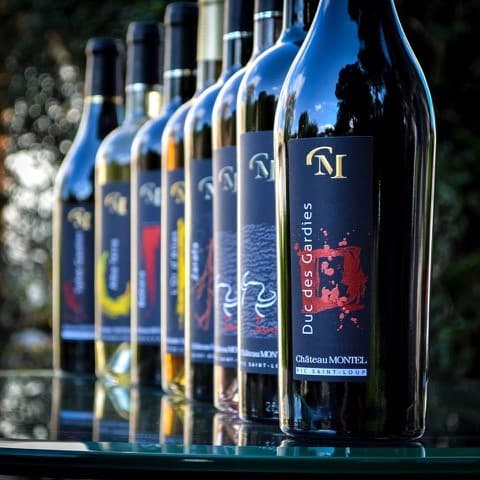 Chateau Montel 1