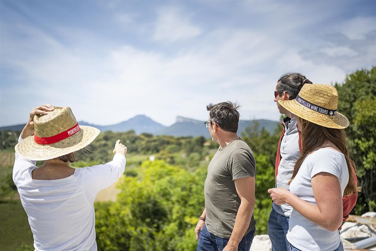wine-tour-demi-journée-pic-saint-loup - Montpellier Winetours