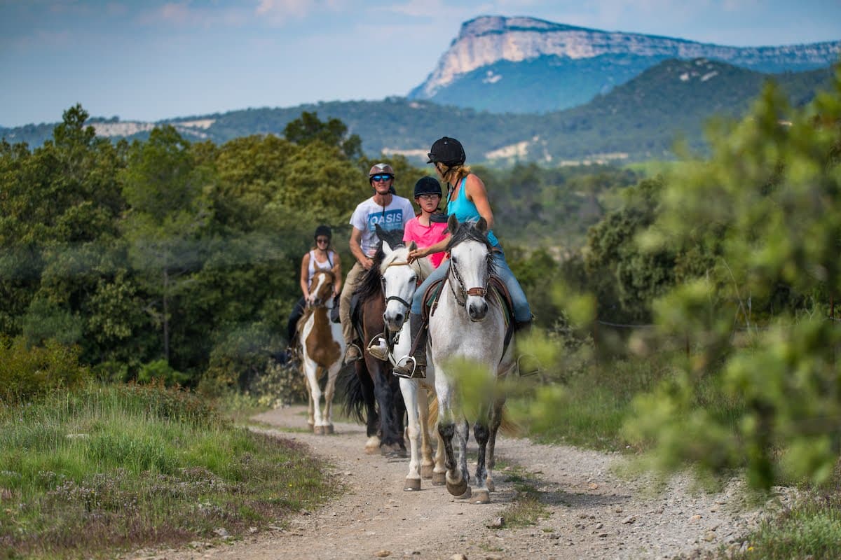 Horse aventure