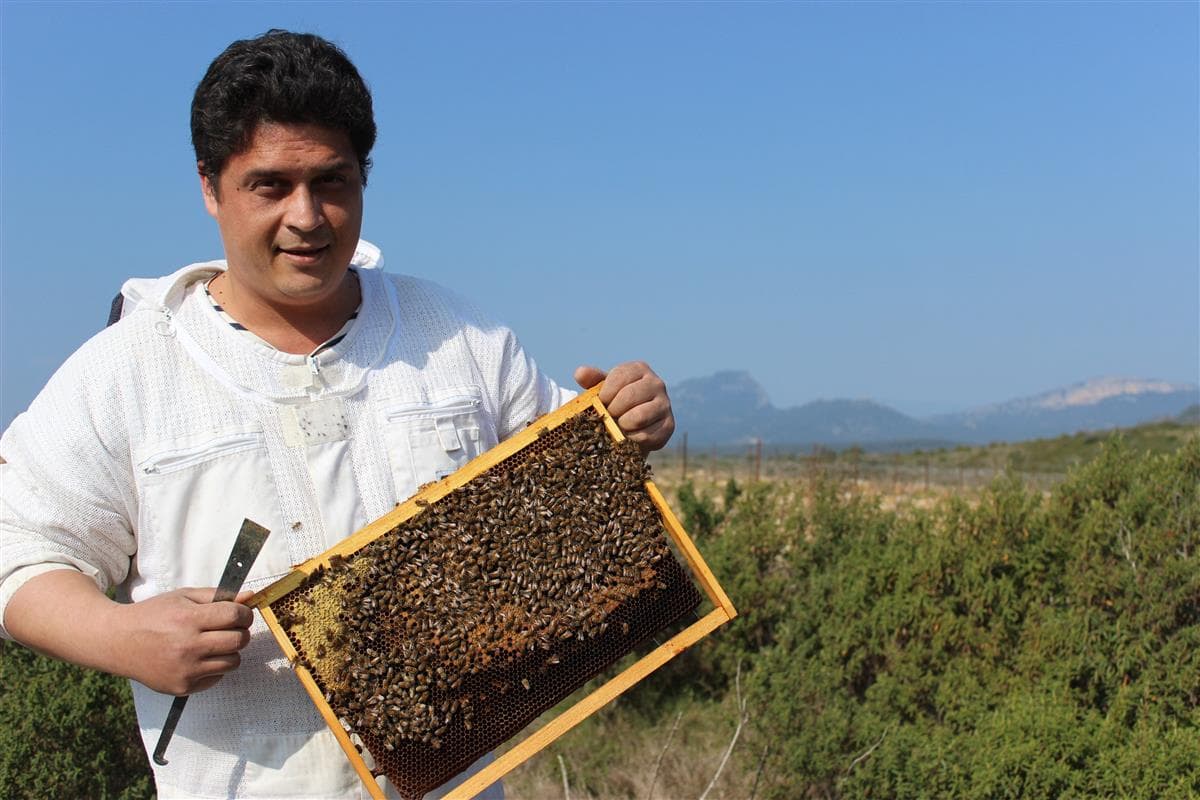 De l'abeille au miel
