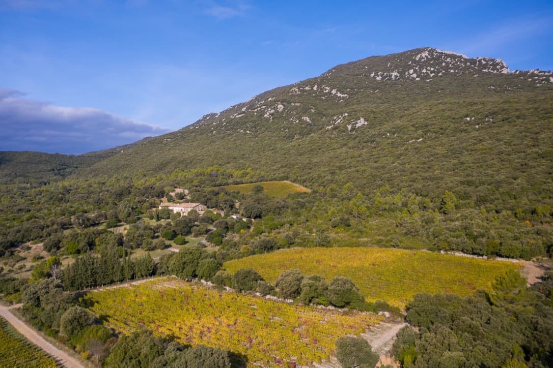 Domaine de Morties - Visite dégustation 1