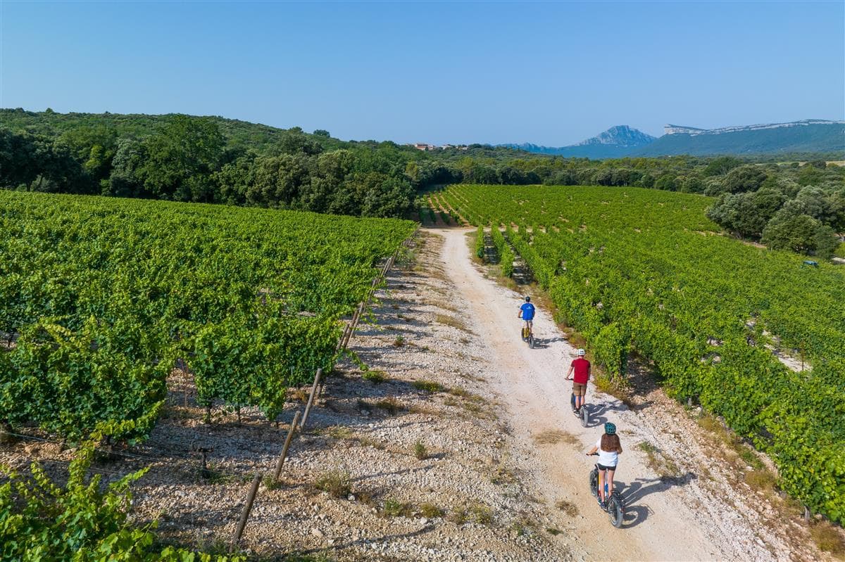 domaine-chateau-de-lancyre-trottinette-electrique-edventure-regis-domergue-1-23850