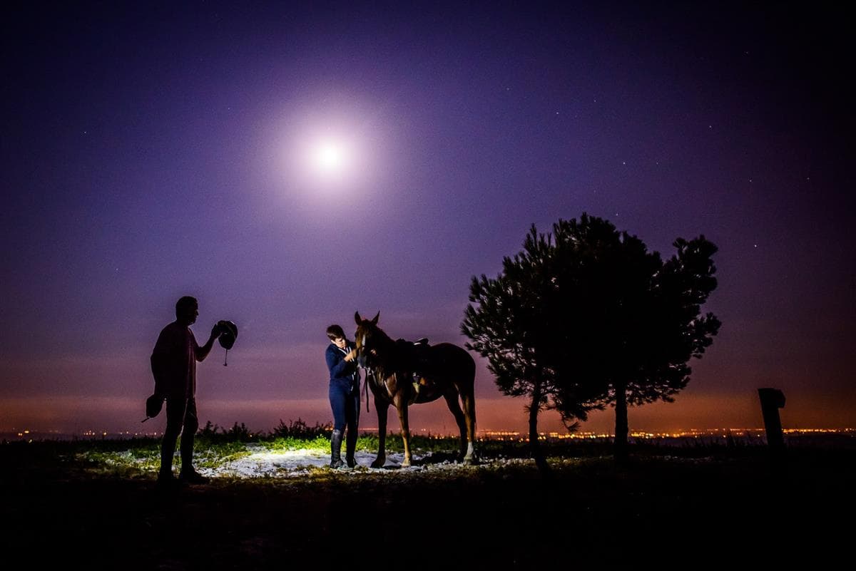 horse aventure horse and moon