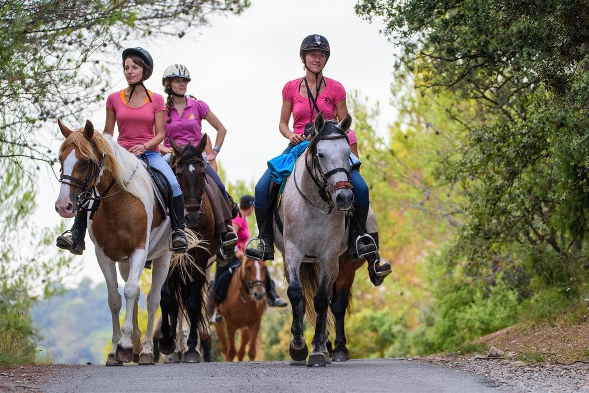 horse aventure rando