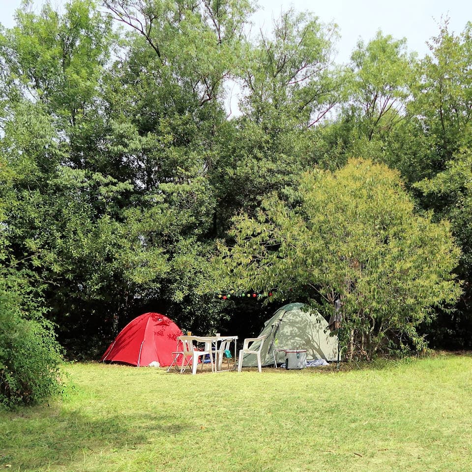 AUBERGE DU CEDRE