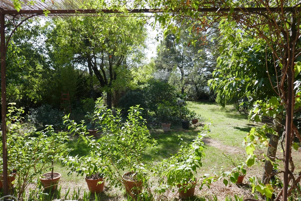 Les chambres de l'Hortus - Mésange