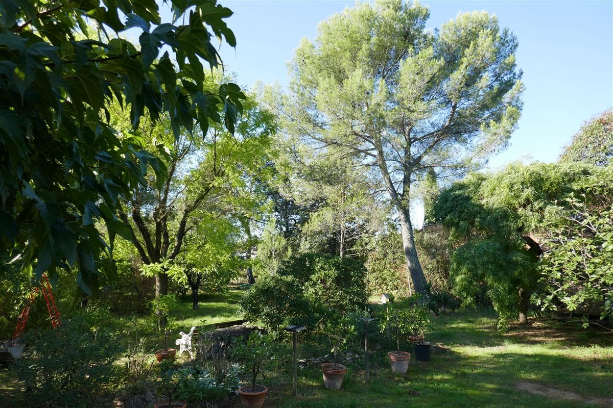 Les chambres de l'Hortus - Loriot