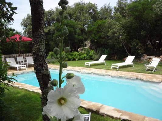 piscine/bouvier- 2