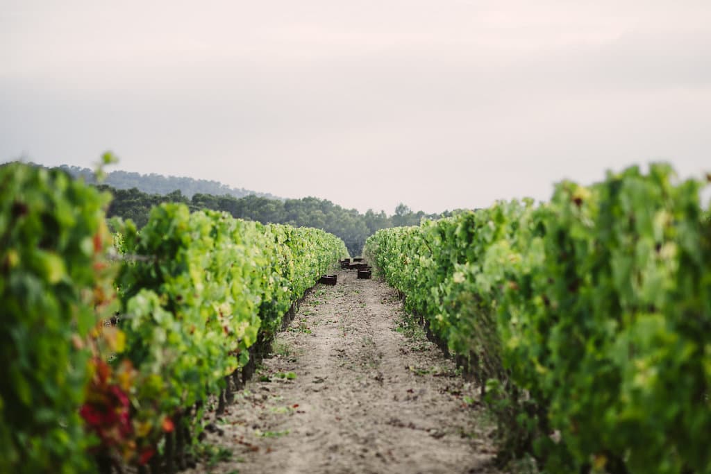 Instant_Terroir_2