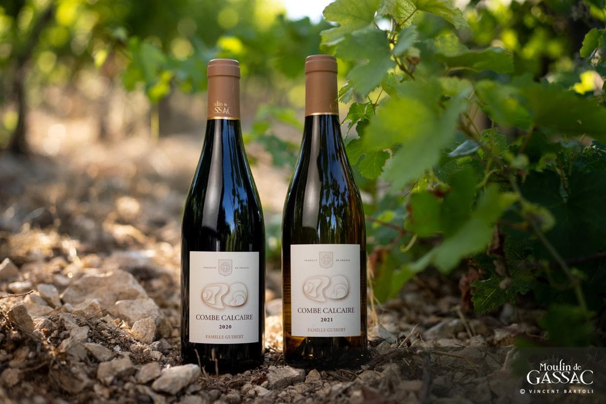 Mas de Daumas Gassac