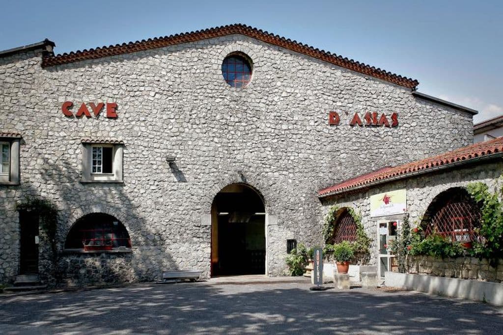 Le Cellier du Pic - Caveau d'Assas