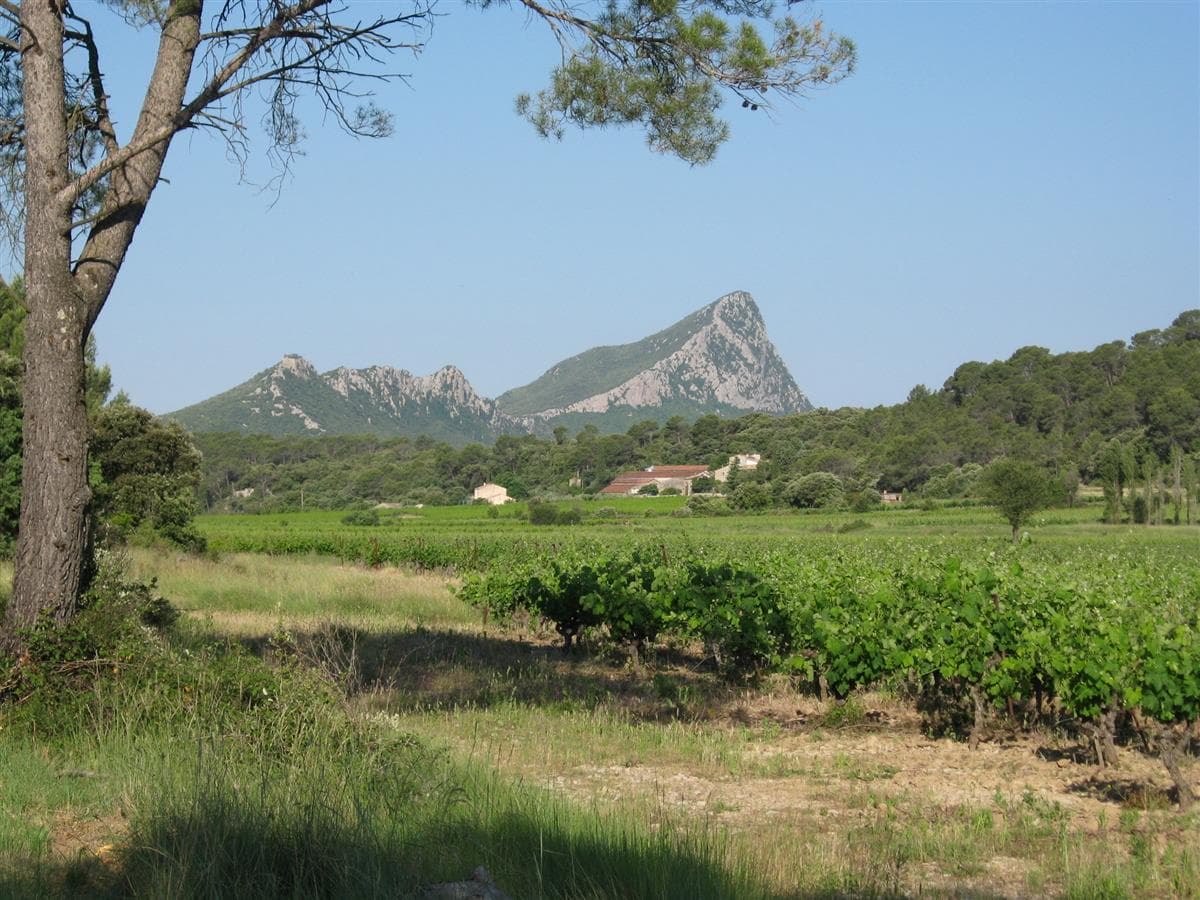Photo 062