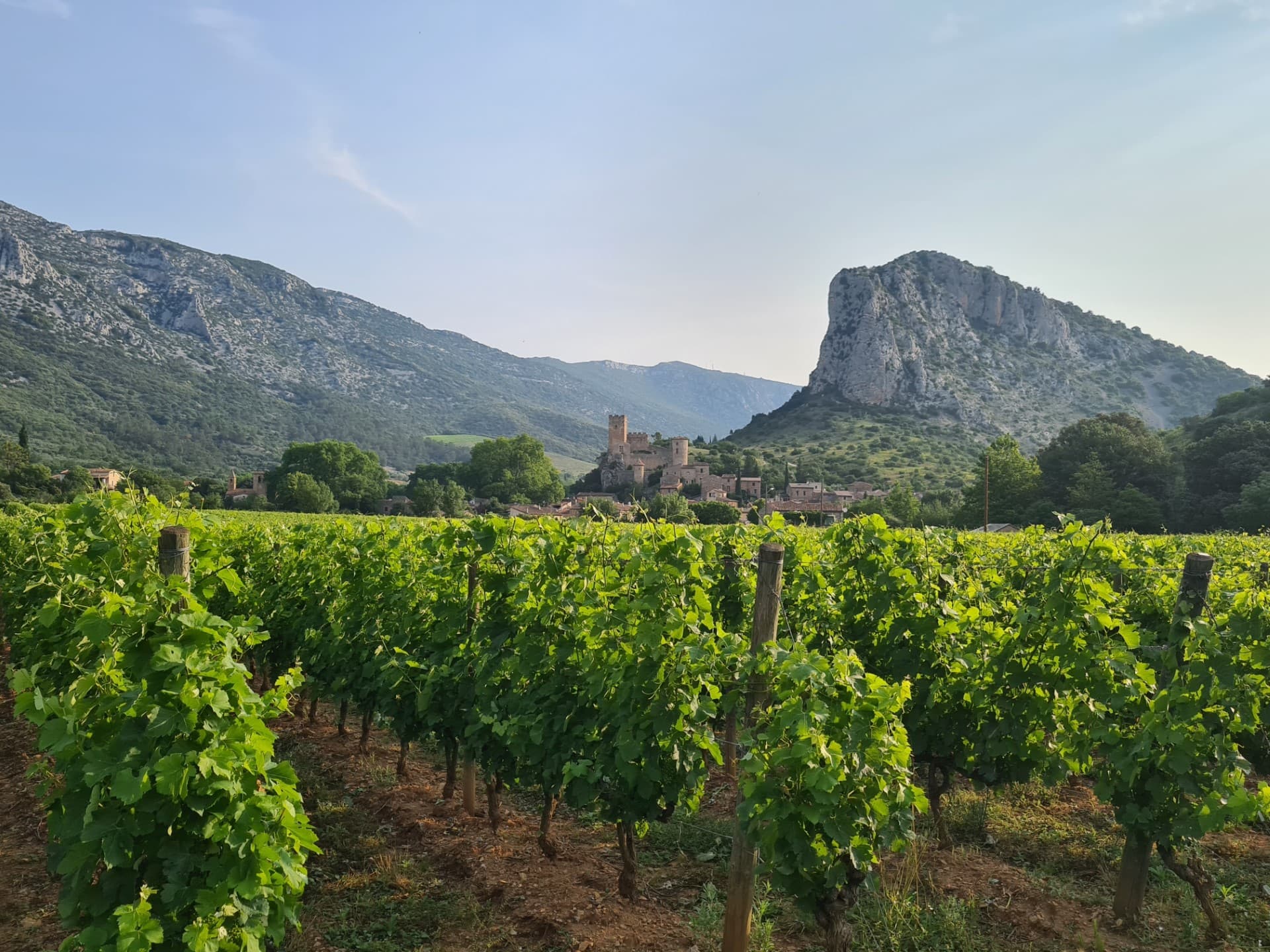 Tour de Baulx - Vignobles Coulet