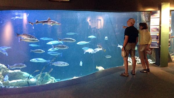 MARÉIS : Centre de découverte de la pêche en mer