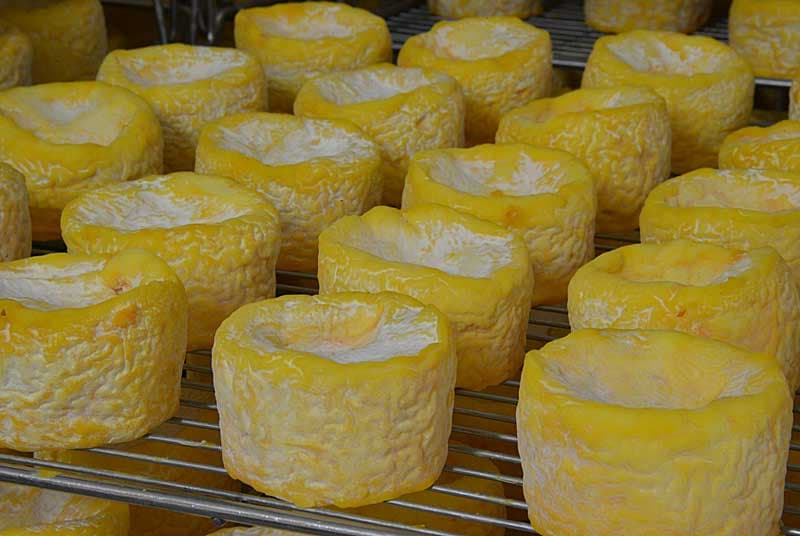 AOP Fromage de Langres - Fromagerie Schertenleib