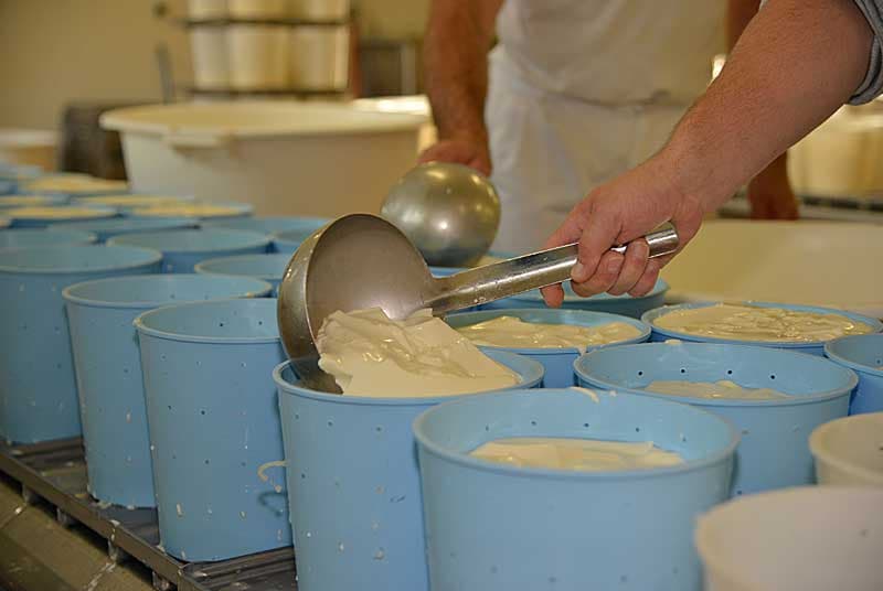 AOP Fromage de Langres - Fromagerie Schertenleib