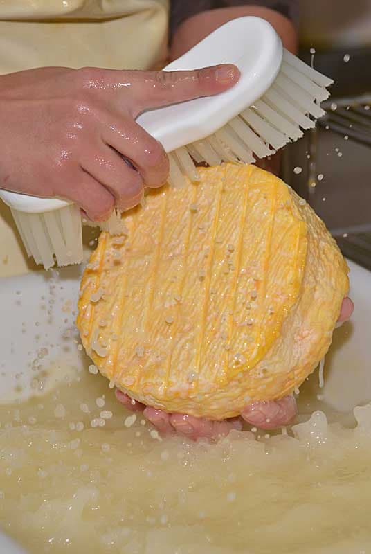 AOP Fromage de Langres - Fromagerie Schertenleib