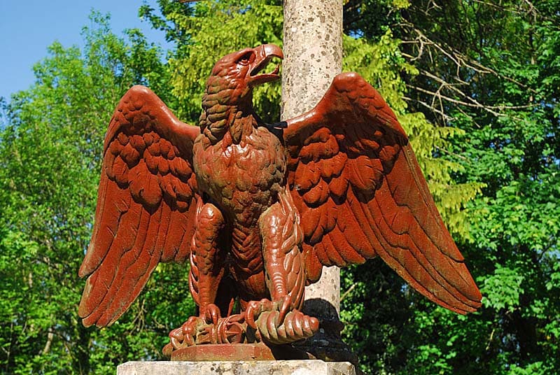 Aigle impérial à Montsaugeon