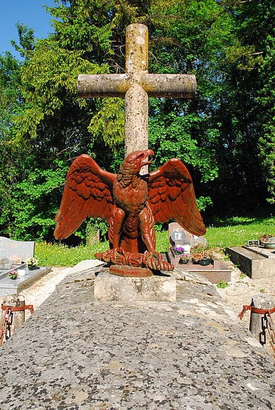 Aigle impérial à Montsaugeon
