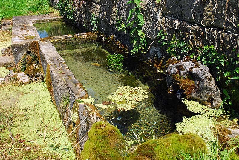 Auges d'eau vive à Vieux-Moulins