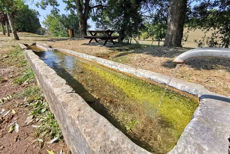Auges d'eau vives à Poinsenot