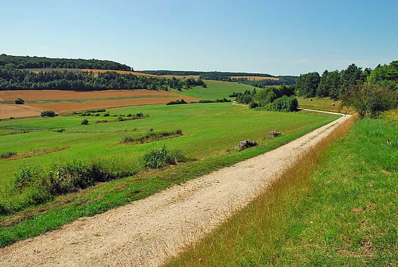Combe du Chanet à Praslay