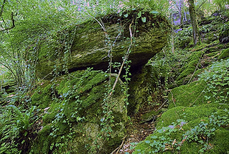 Dolmen de Villiers-les-Aprey