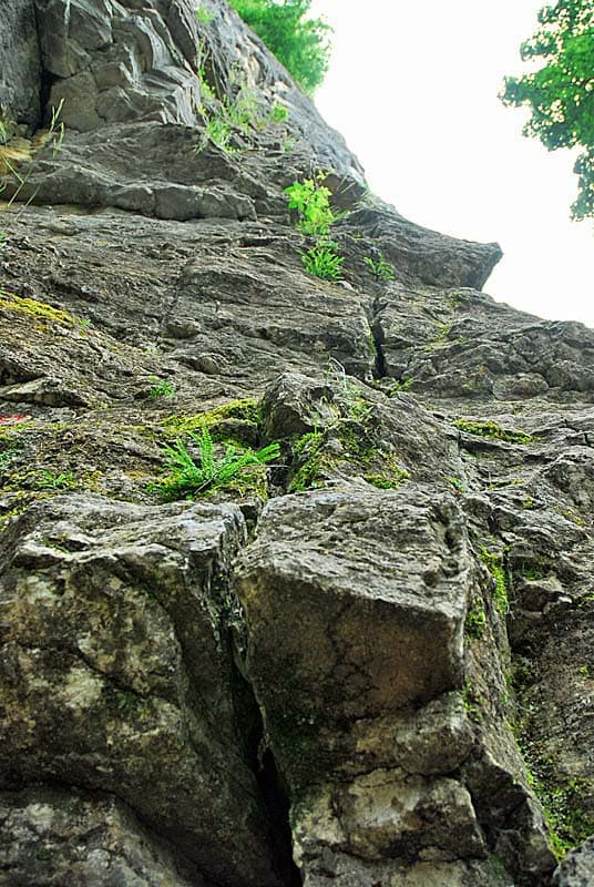 Falaises de Cohons