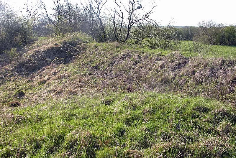 Fort de Buzon