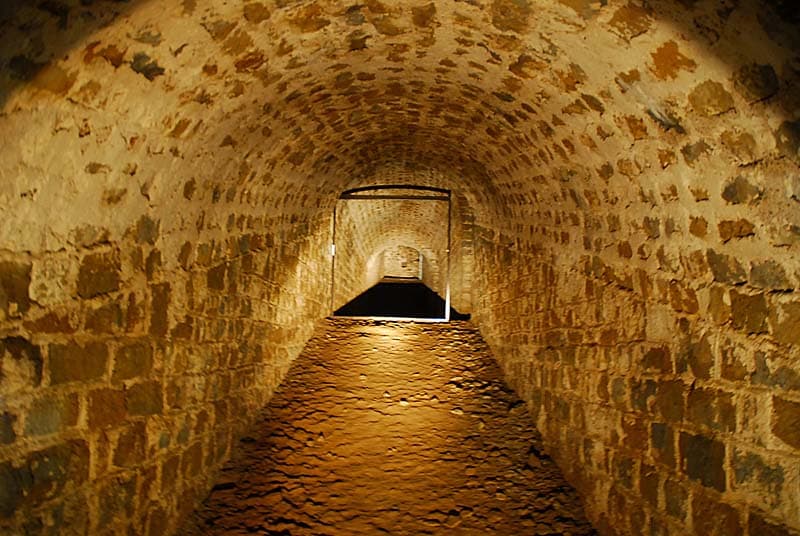 Fort de Plesnoy