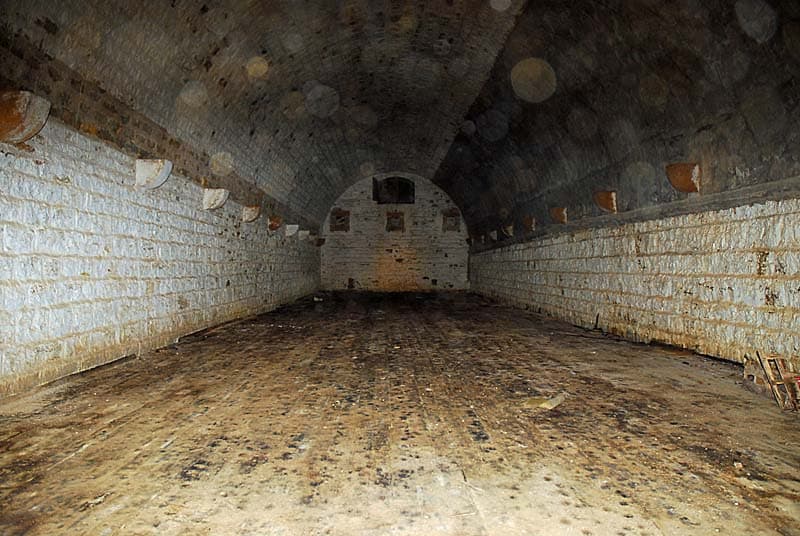 Fort de Plesnoy