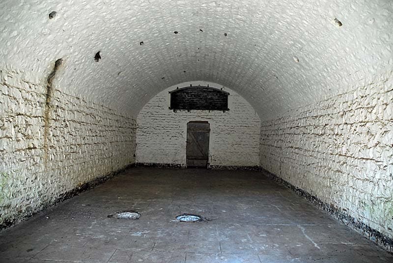 Fort de Plesnoy