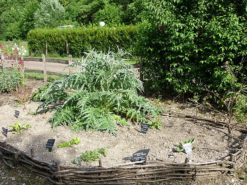 Jardin d'inspiration médiévale de Vignory