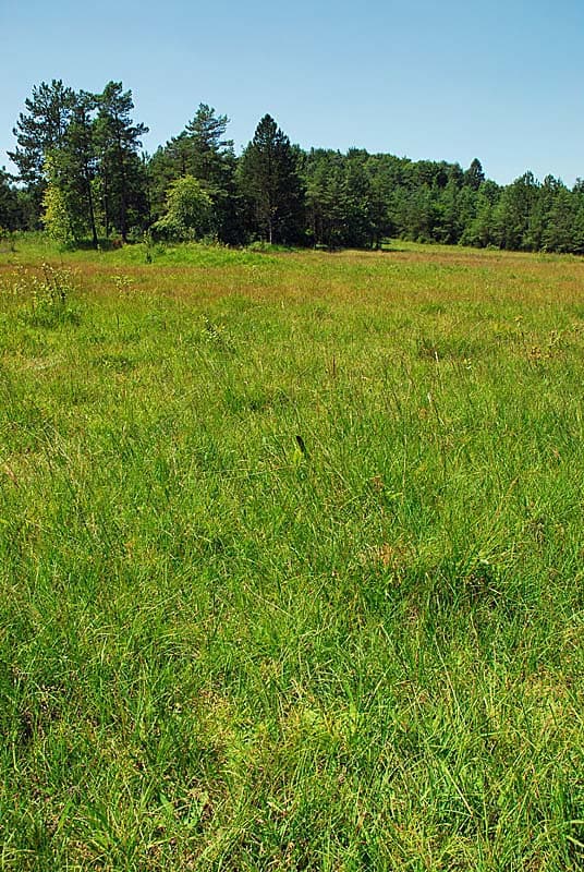 Marais de Rosière