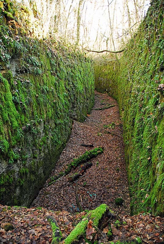 Ouvrage du bois de Champigy à Saints-Geosmes