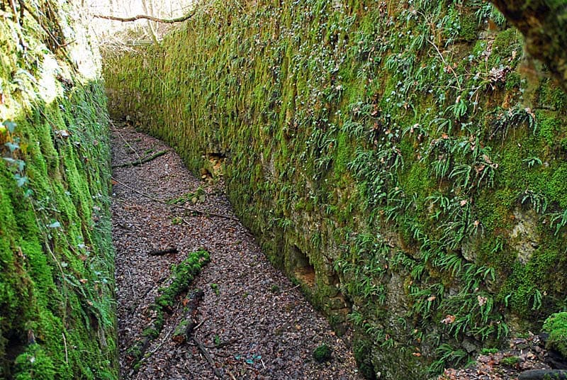 Ouvrage du bois de Champigy à Saints-Geosmes