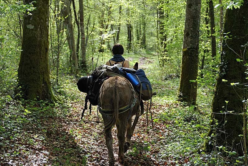 Randonnee avec ane à Auberive