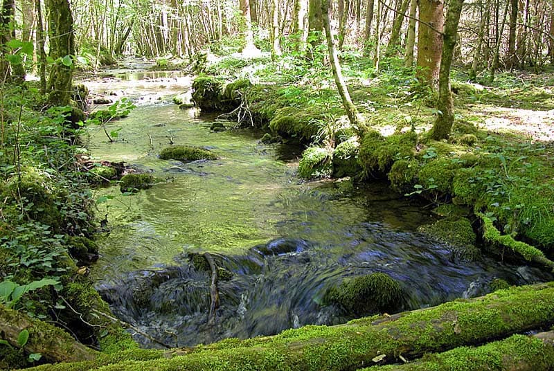 L'Aube près de sa source