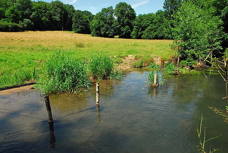 Rivière et vallée de la Mouche - Perrancey