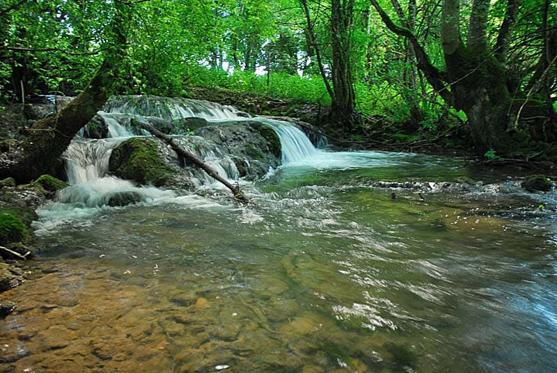 Rivière et vallée de la Mouche - Vieux-Moulins