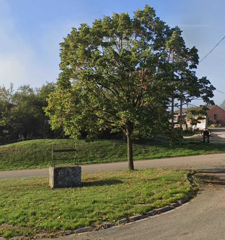 SAINT-VALLIER-SUR-MARNE puits public