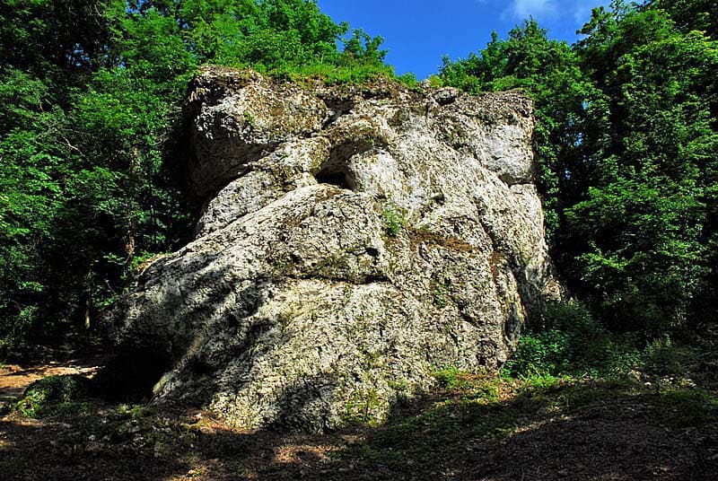 Source de la Marne
