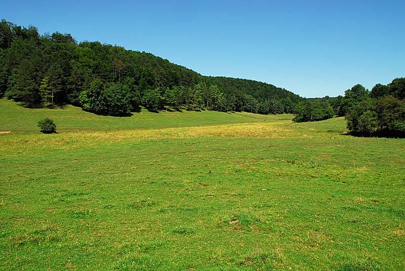 Vallon d'Amorey