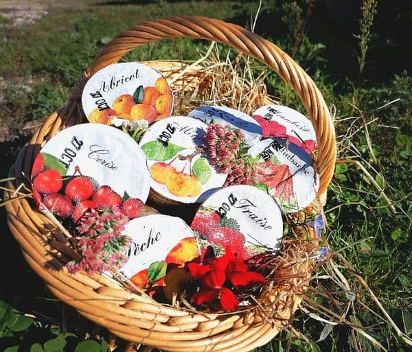 yaourts fruits