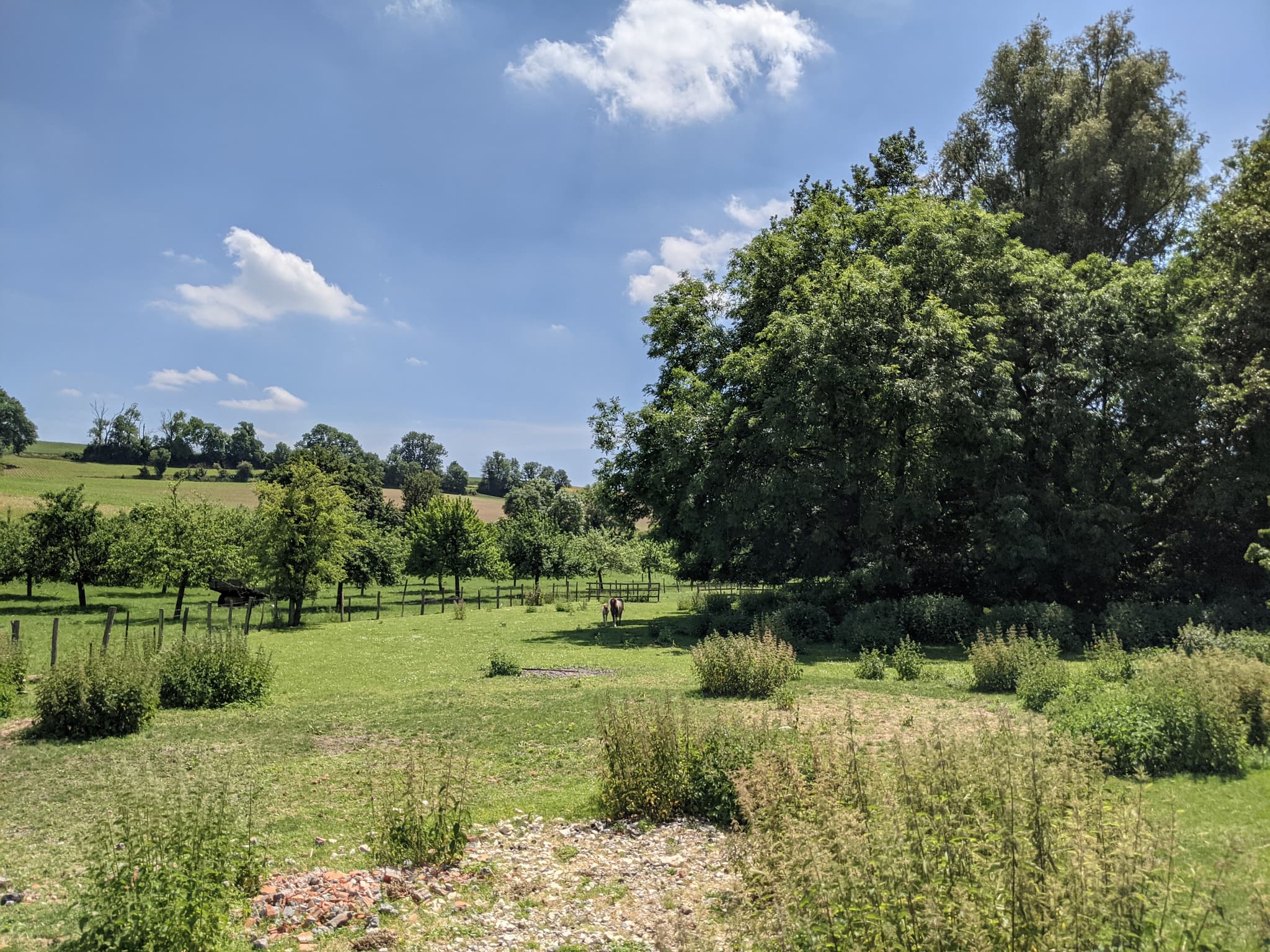 Paysage Picardie Verte