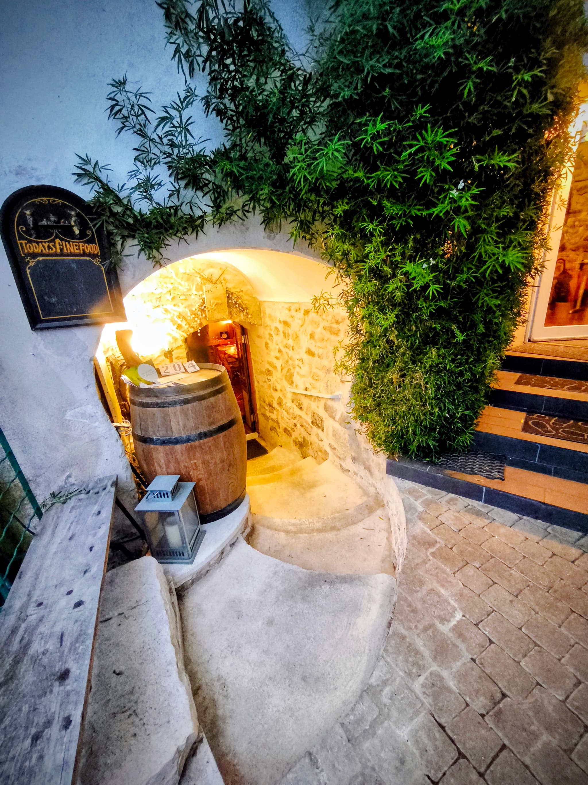 entrée cave 204